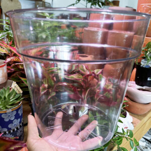 Clear Nursery Pots, Transparent Plant Pots With Drainage, Seeding Pots, Orchid Pots